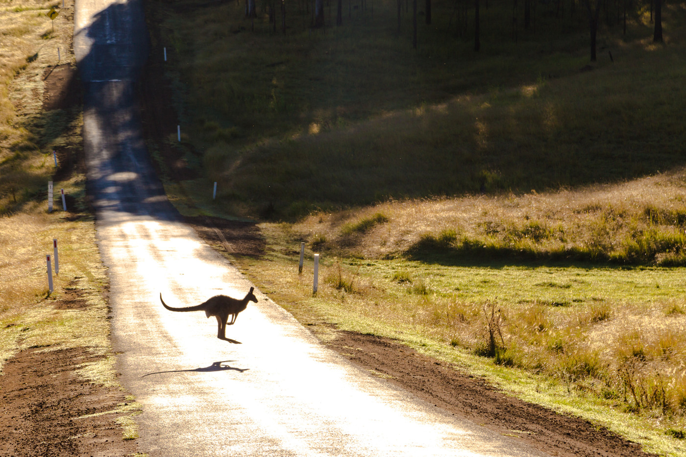 Living in Australia